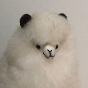 Meet your Posher, Emanuel